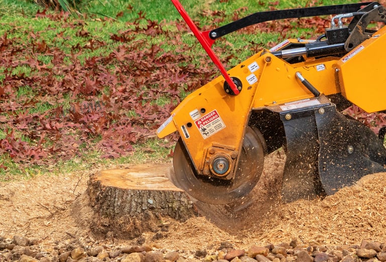 Stump grinding a tree trunk close up