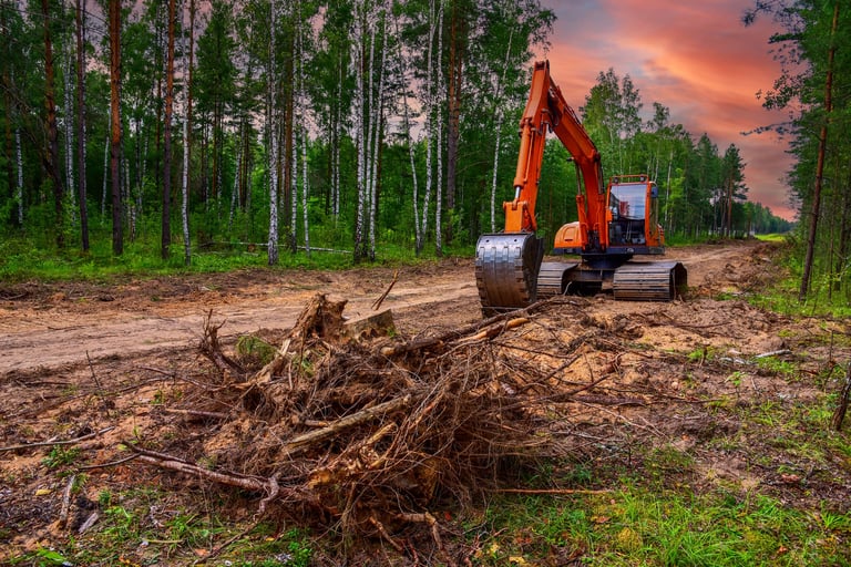 Excavator clearing forested area for development