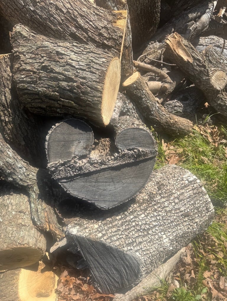 Cross-section of cut logs stacked together, with one log showing a natural heart-shaped pattern in the wood grain