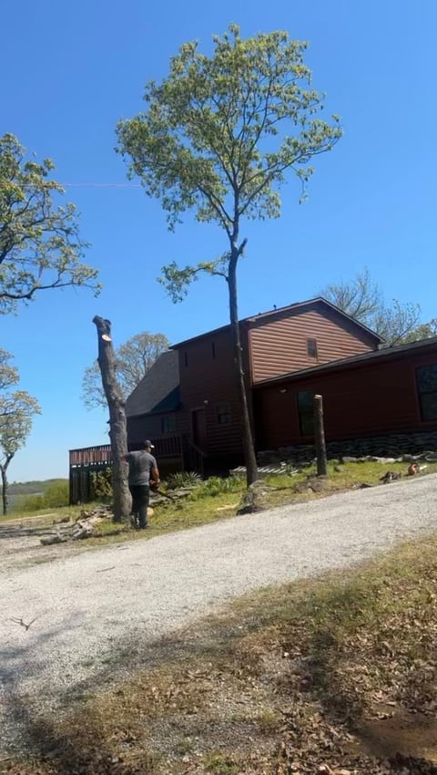 Person stands beside a tall tree in front of a brown wooden cabin on a gravel driveway under blue sky